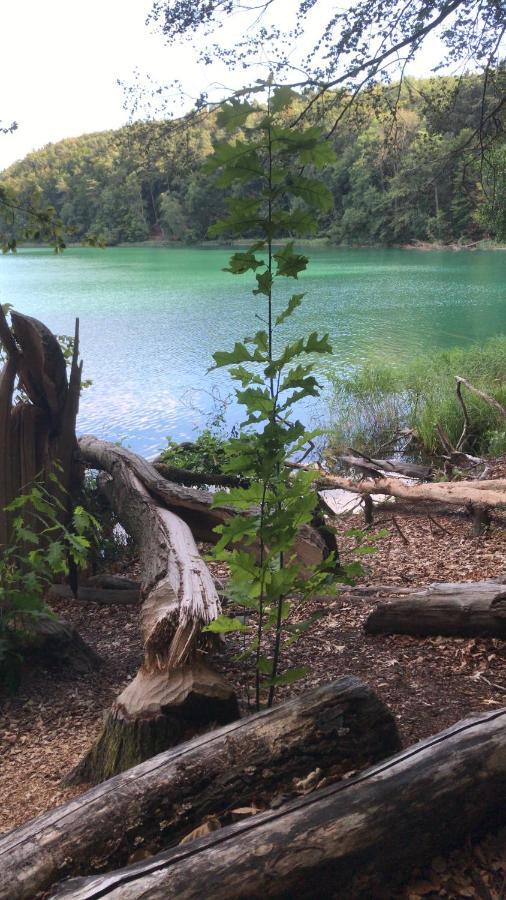 Agroturystyka "Zielone Zacisze" Villa Łagów Buitenkant foto
